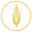 Fécula de Maíz